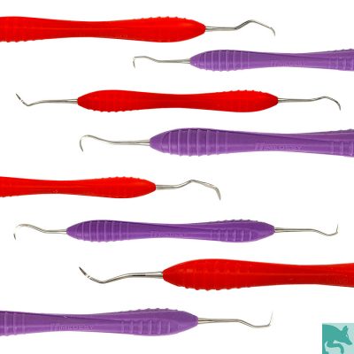 Instrumente- SCALER (Anteriors und Posterior)
